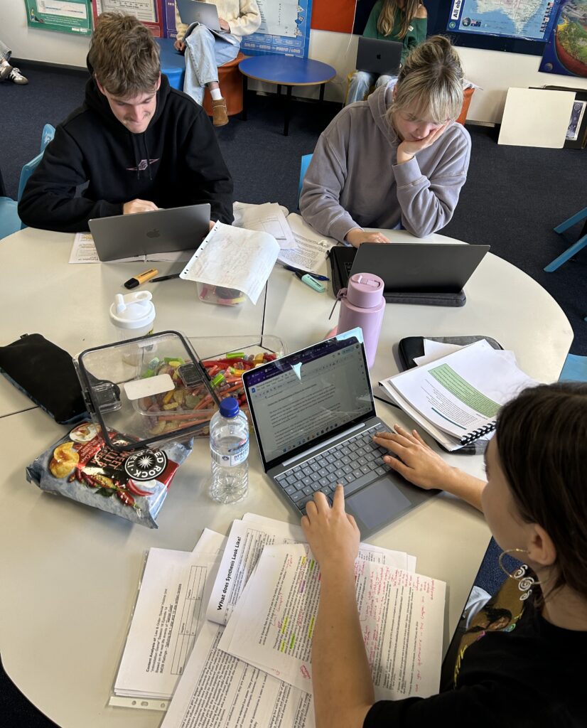 Year 12 society and culture students refining major research work.