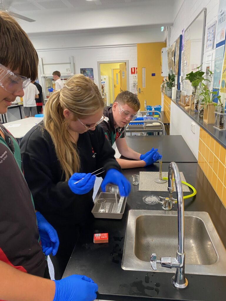 Exploring Microbiology Through Practical Experimentation