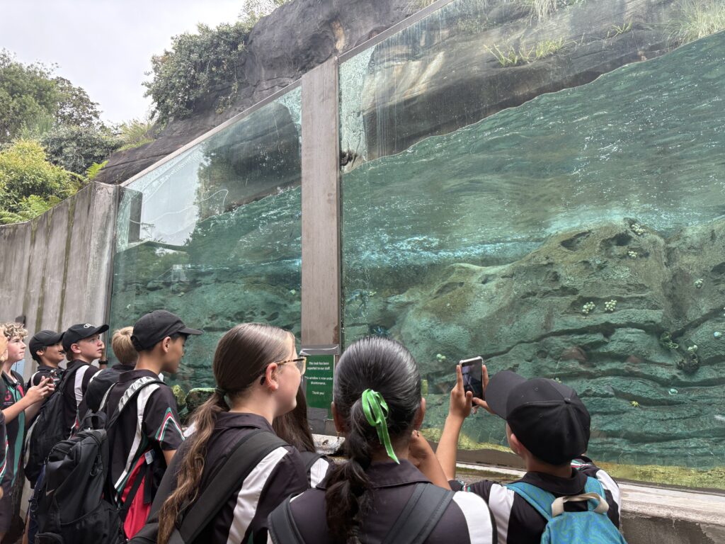 Photo of Students looking a Penguins