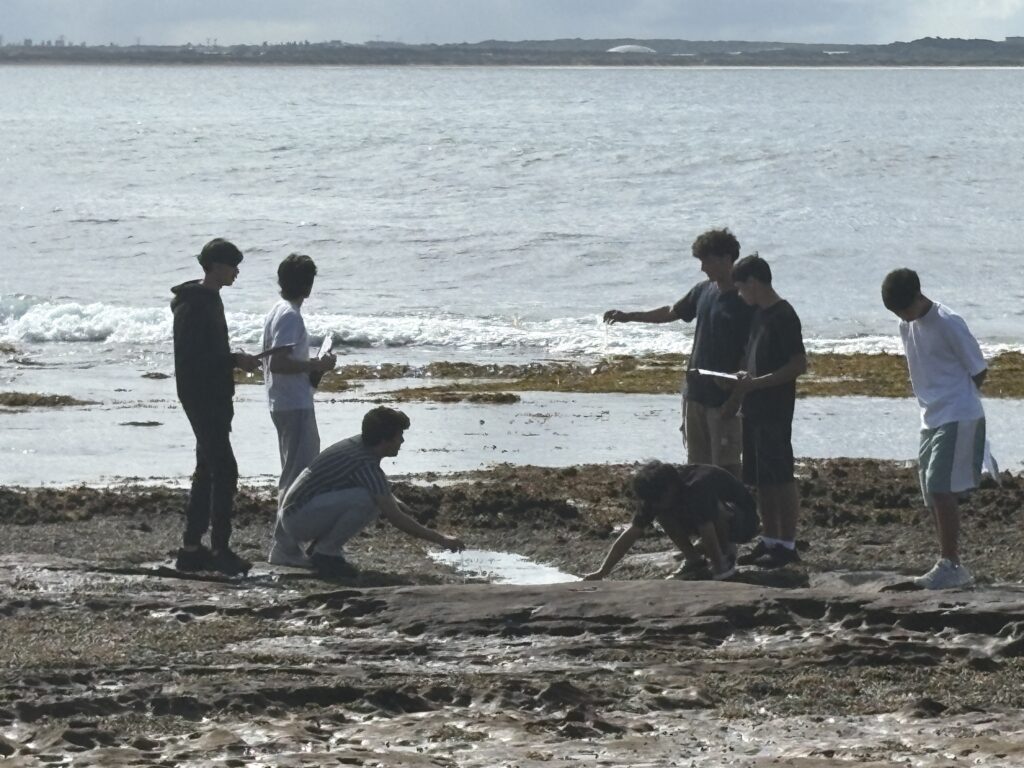 Year 11 biologists collaborate confidently, collecting field data through authentic coastal research.
